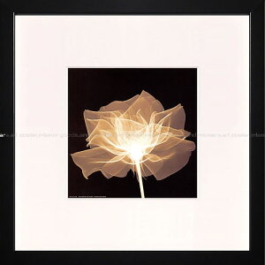 gQA[g A[gpl A[g |X^[ x|ray A[gt[ CeA k  z  ^yXg[ Ǌ| CeAA[gpl _A[g G CeA 