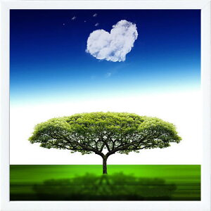 フォトグラフィアート アートパネル 天然木アートフレーム付 壁掛け用 輸入アートプリント モダンアート アートポスター インテリア ウォールアート 絵画 抽象画 タペストリー 北欧 おしゃ