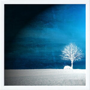 フォトグラフィアート アートパネル 天然木アートフレーム付 壁掛け用 輸入アートプリント モダンアート アートポスター インテリア ウォールアート 絵画 抽象画 タペストリー 北欧 おしゃ