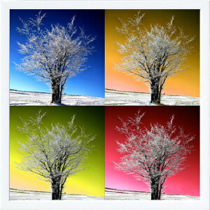 フォトグラフィアート アートパネル 天然木アートフレーム付 壁掛け用 輸入アートプリント モダンアート アートポスター インテリア ウォールアート 絵画 抽象画 タペストリー 北欧 おしゃ