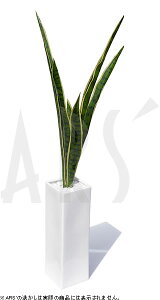 tFCNO[ CeAO[ A[eBtBVO[ lHϗtA  CeA  ^ ~j  C G} LCeAO[ TZxA X^b