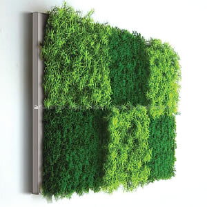 [tpl [tA[g [tt[ A[gpl tFCNO[ ^yXg[ Ǌ|  CeA EH[A[g EH[pl k  EH[O[ A[g