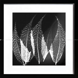 yCZXvgzgQA[g XRay G A[g |X^[ A[gpl _ G  ŉ ۉ i gOt VNXN[ A[gt[ CeA t[t