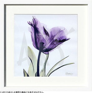 yCZXvgzgQA[g XRay G |X^[ A[gpl _ A[g G  ŉ ۉ i gOt VNXN[ A[gt[ CeA t[t