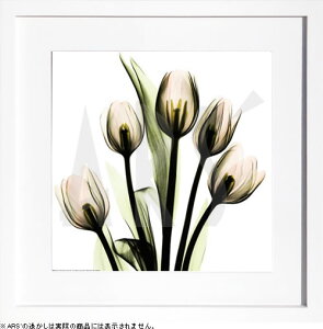 yCZXvgzgQA[g XRay G |X^[ A[gpl _ A[g G  ŉ ۉ i gOt VNXN[ A[gt[ CeA t[t