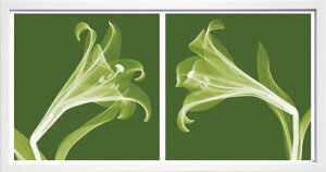 yCZXvgzgQA[g XRay G |X^[ A[gpl _ A[g G  ŉ ۉ i gOt VNXN[ A[gt[ CeA t[t