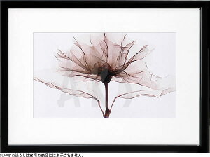 yCZXvgzgQA[g XRay G |X^[ A[gpl _ A[g G  ŉ ۉ i gOt VNXN[ A[gt[ CeA t[t