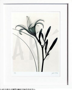 yCZXvgzgQA[g XRay G |X^[ A[gpl _ A[g G  ŉ ۉ i gOt VNXN[ A[gt[ CeA t[t