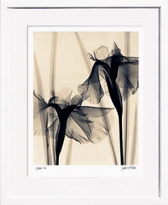 yCZXvgzgQA[g XRay G |X^[ A[gpl _ A[g G  ŉ ۉ i gOt VNXN[ A[gt[ CeA t[t