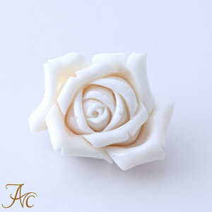 1Nۏؕt┒X KN u[` SAM v`i Vv F iŊ Mdȑl  fB[X  3 a X ANZT[ WG[ җj  35N oY