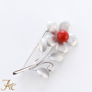 1Nۏؕt ԎX6.6~ʃVo[ i  Md l  u[` 3 a X ANZT[ WG[ җj   35N v[g {X TS 