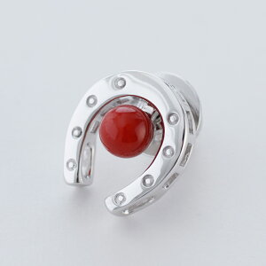 1Nۏؕt nCYԎX sNX n Ch  z[X Vo[ ^bNs 3 a X ANZT[ WG[ җj   35N v[g {X 