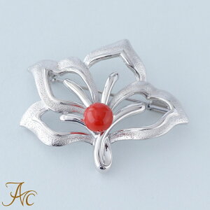 1Nۏؕt ԎX7~ʃVo[ i  Md l  fB[X u[` 3 a X ANZT[ WG[ җj   35N v[g {X TS 