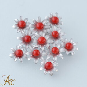 1Nۏؕt ԎX11tVo[ i  Md l  fB[Xu[` 3 a X ANZT[ WG[ җj   35N v[g {X TS 