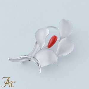 1Nۏؕt ԎXhbvtVo[ i  Md l  fB[Xu[` 3 a X ANZT[ WG[ җj   35N v[g {X TS 