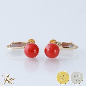 1Nۏؕt ԎX6.5~ۋK18 K14WGVv l  fB[X CO 3 a X ANZT[ WG[ җj   35N v[g {X  TS