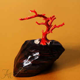 1点物 日本産血赤珊瑚『拝見』 3月 誕生石 珊瑚 置物 還暦祝 赤 結婚 35周年 プレゼント 本珊瑚サンゴ