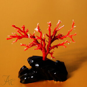 1_ {YԎXwqx 3 a X u җj   35N v[g {X  TS