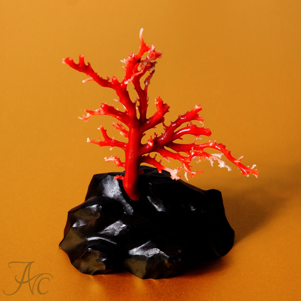 『Vampire 【CORALー珊瑚】日本産赤珊瑚 各種パーツ