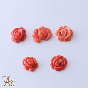 ubNtCf[15OFFⓍX o KN   [X Vv F iŊ Mdȑl  fB[X  3 a X ANZT[ WG[ җj 