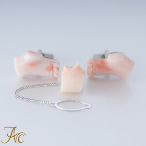 1Nۏؕt sNX聃}JtXZbgVv   Y 3 a X ANZT[ WG[ җj   35N v[g {X ̓ TS 