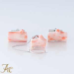 1Nۏؕt sNX聃}JtXZbgVv   Y 3 a X ANZT[ WG[ җj   35N v[g {X ̓ TS 