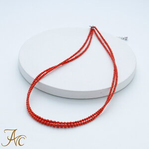 1Nۏؕt Ԃ̏i  Md 2`3.5~2AԎXlbNX