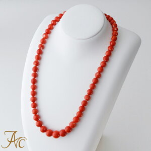 1Nۏؕt{YX7.5`11.7~51Z`Vo[lbNX Vv i  Md l fB[X 3 a X WG[ җj   35N v[g {X 