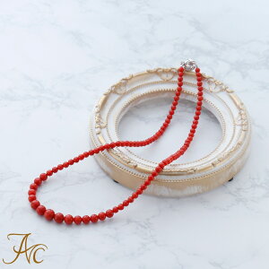 1Nۏؕt ԎX4`8~46Z`K14WGVv i  Md l  fB[X lbNX 3 a X ANZT[ WG[ җj   35N v[g {X 