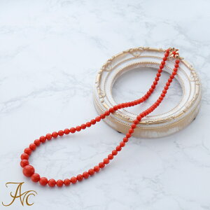 1Nۏؕt ԎX5`12.7~54Z`K14 i  Md l  fB[X lbNX 3 a X ANZT[ WG[ җj   35N v[g {X  