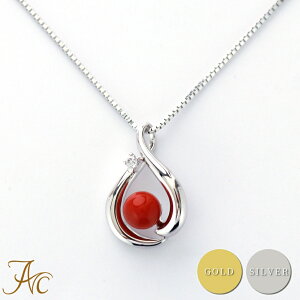 1NۏؕtԎX5.5~ʃVo[y_gElbNX Vv F i  Md l  fB[X  3 a X ANZT[ WG[ җj  