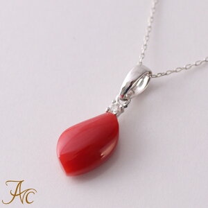 1Nۏؕtό` {YԎX K18zCgS[h y_gElbNX Vv F iŊ Mdȑl  fB[X 3 a X ANZT[ WG