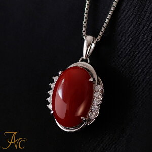 1Nۏؕt {YԎXI[o16×11~v`i900y_glbNXi50Z`v`i850XCh`F[tjVv iŊ Mdȑl  fB[X  