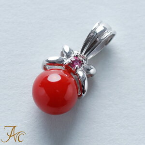 1Nۏؕt {YԎX6.6~K14zCgS[hr[ty_ggbv Vv F iŊ Mdȑl  fB[X  3 a X ANZT[ 