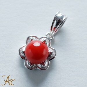 1Nۏؕt {YԎXK14zCgS[hy_gEgbv Vv F i  Md l  fB[X  킢 3 a X ANZT[ WG