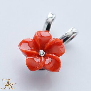 1Nۏؕt ԎX聃Ԃ́K18zCgS[hy_gEgbv Vv F i  Md l  fB[X  킢 3 a X ANZT[ WG