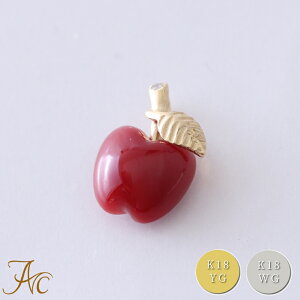 1Nۏؕtœ{YԎX mY ь lbNX y_ggbv K18 K18WG CG[S[h v`i900 Vv F iŊ Mdȑl  fB[X  3