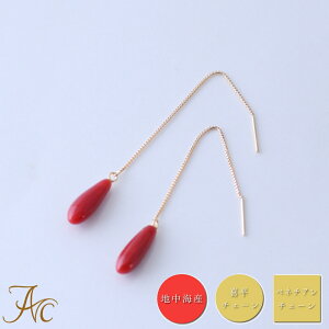 1NۏؕtnCYԎX hbv K18 S[h xl`A 약 AJsAX Vv F iŊ Mdȑl  fB[X 3 a X ANZT[ 