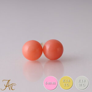 1Nۏؕt sNX6~K18 K18WG sAX Vv h F i  Md l  fB[X  킢 3 a X ANZT[ WG[ җj  