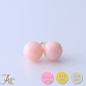 1Nۏؕt ~XX sNX6~K18 K18WGsAX Vv h F i  Md l  fB[X  킢 3 a X ANZT[ WG[ җ