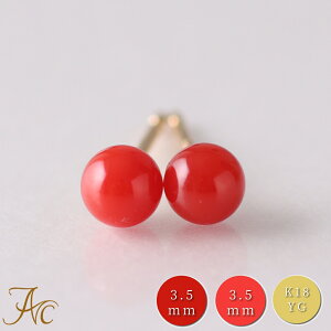 1Nۏؕt{YԎX3.5~ nCYԎX K18sAX Vv h F i  Md l  fB[X  킢 3 a X ANZT[ WG