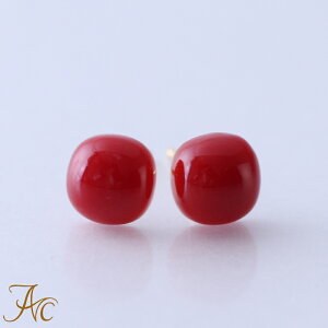 1Nۏؕt{YԎX mY K18 S[h XNGA lp X^bhsAX Vv F iŊ Mdȑl  fB[X 3 a X ANZT[ W