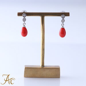 1Nۏؕt {YԎXhbvK18zCgS[hsAX Vv F h i  Md l  fB[X  킢 3 a X ANZT[ WG