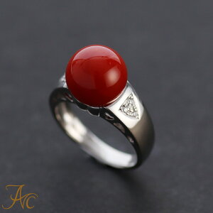 1Nۏؕt {YԎX10.9~ʃv`i Vv F i  Md l  fB[X  킢 O 3 a X ANZT[ WG[ җj  