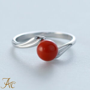 1Nۏؕt ԎX6~ʃVo[O Vv F i  Md l  fB[X  킢 3 a X ANZT[ WG[ җj   35N 