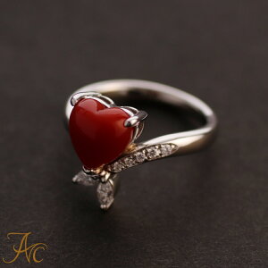 1Nۏؕt {YԎXn[gEv`iO Vv F i  Md l  fB[X  킢 3 a X ANZT[ WG[ җj  