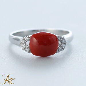 1Nۏؕt ԎXI[oEv`iEO Vv F i  Md l  fB[X  킢 3 a X ANZT[ WG[ җj   