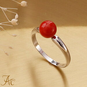 1Nۏؕt ԎX5.8~ʃVo[O Vv F i  Md l  fB[X  킢 3 a X ANZT[ WG[ җj   35N 