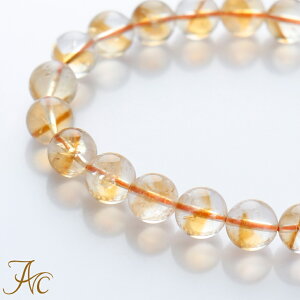 ᑗ Vgt@g8.5~ʃuXbg VR p[Xg[   v[g Mtg TS