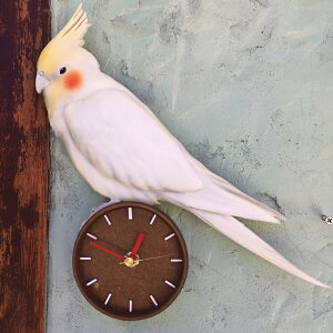 CR񎞌v 3D A  I[_[ ybg v G  ObY Ǌ|v 킢v Gv ̎v 莞v v[g TvCY I[_[Chv